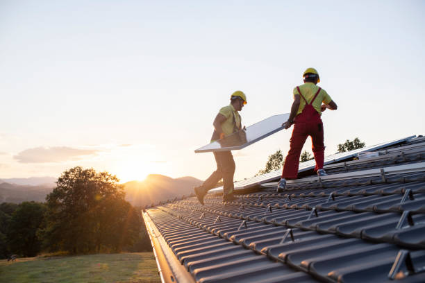 Best Roof Maintenance and Cleaning  in Surgoinsville, TN